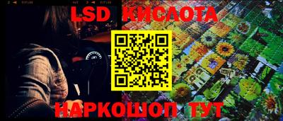 стаф Краснодар