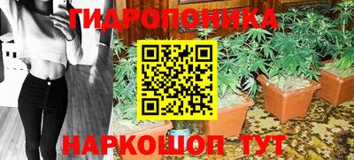 стаф Краснодар